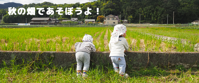 �H�̔��ł����ڂ���I