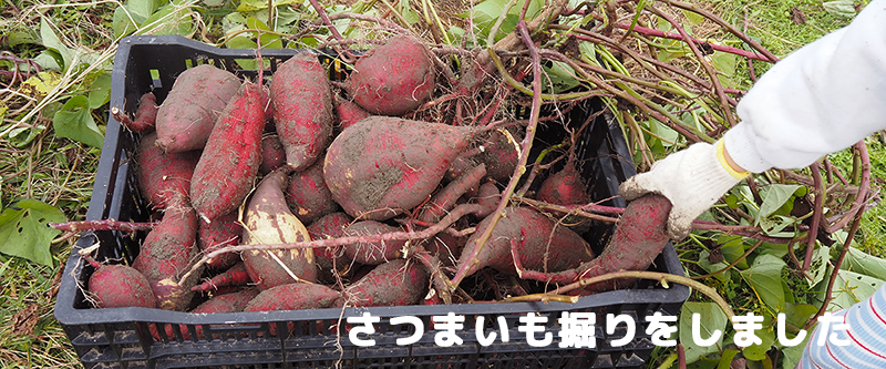 ���܂����@������܂���